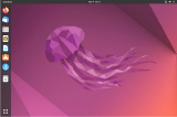 Ubuntu