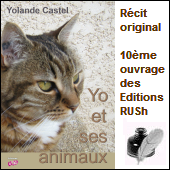 Yo et ses animaux